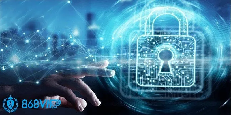 Chính Yếu Trong Chính Sách Bảo Mật 868vip – Thông Tin Được Thu Thập Và Quản Lý